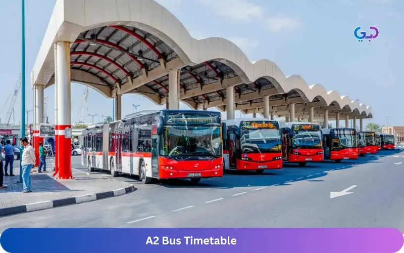 Detailed Guide on A2 Bus Timetable