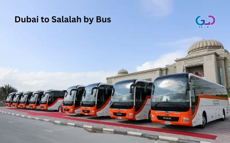 Dubai to Salalah by Bus: A Scenic and Affordable Road Adventure
