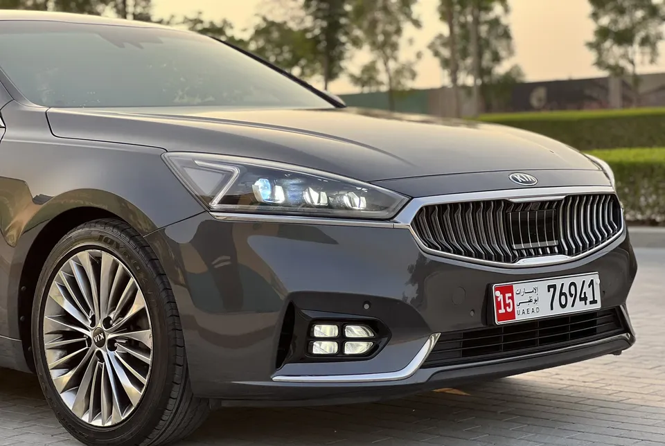 Cadenza 2019 2.400 cc Banzene clean-pic_3