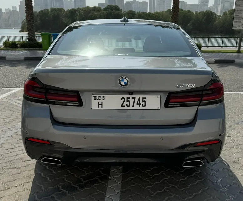 BMW 530-pic_3