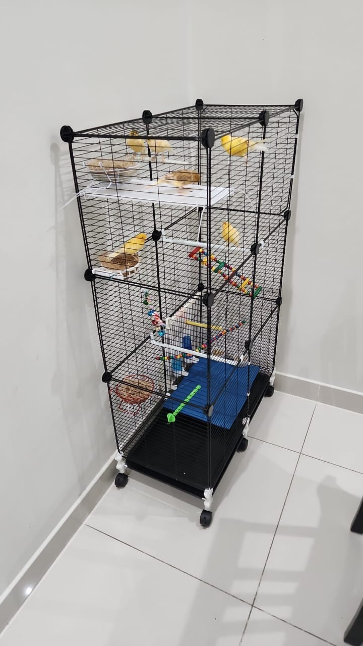 Large Bird Cage for Sale – Includes Free Accessories